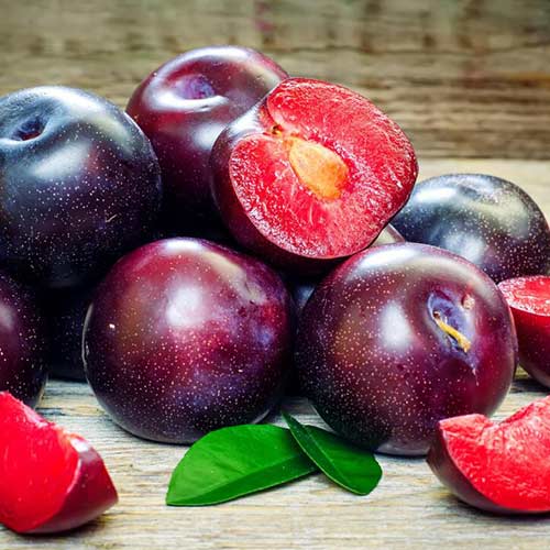 Prunier Sonic Lady, С2 interface.image 1 interface.art 4313