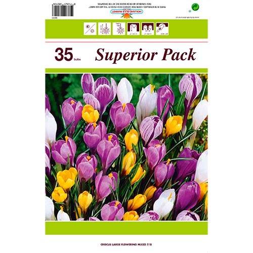 Superbe offre! Crocus botanique mélange de couleurs, lot de 35 bulbes interface.image 1 interface.art 67911