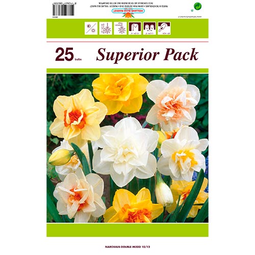 Superbe offre! Mélange de couleurs Narcisse, lot de 25 bulbes interface.image 1 interface.art 70317