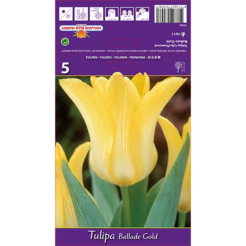 Tulipe Ballade Gold interface.image 1 interface.art 67478