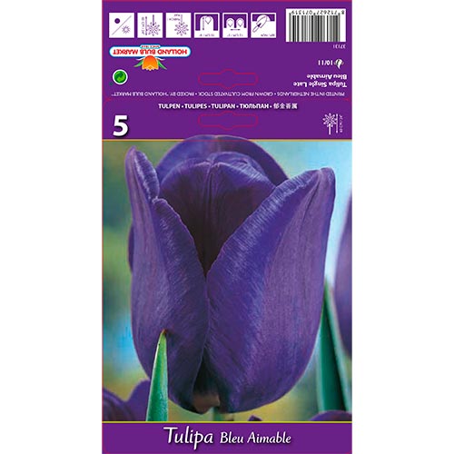Tulipe Blue Amaible interface.image 1 interface.art 67705