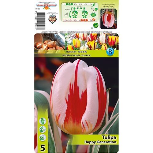 Tulipe Happy Generation interface.image 1 interface.art 68049