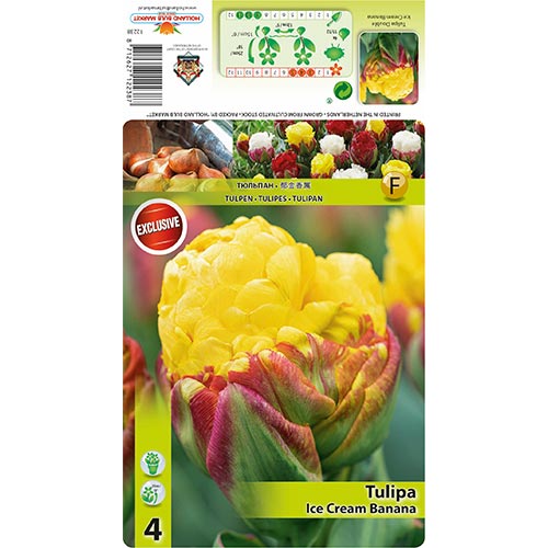 Tulipe Ice Cream Banana interface.image 1 interface.art 68402