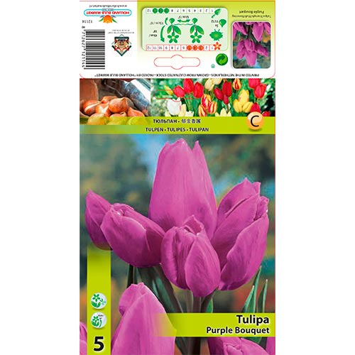 Tulipe Purple Bouquet interface.image 1 interface.art 67809