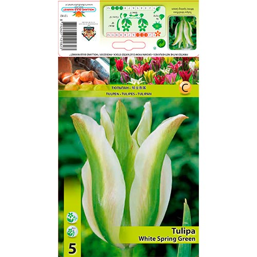 Tulipe White Spring Green interface.image 1 interface.art 67850