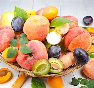 Arbres fruitiers à colonnes