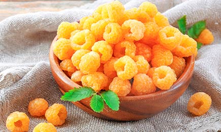 Baies sucrées | GradinaMax