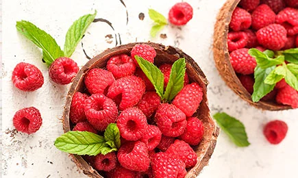 Dessert vitaminé | GradinaMax