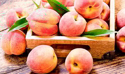 Gros, sec, sucré | GradinaMax