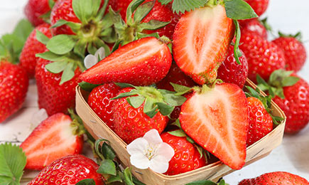 Honey Delight | GradinaMax