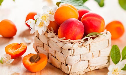 Le rêve de tout gourmet | GradinaMax