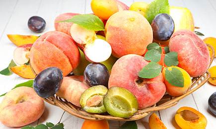 Mini jardin et terrasse | GradinaMax