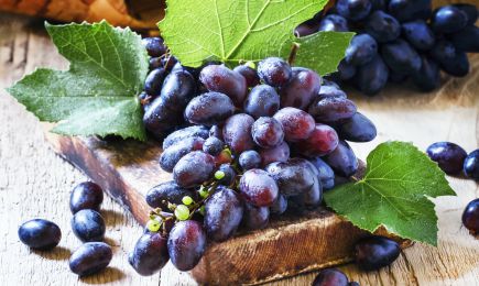 Riche en goût | GradinaMax