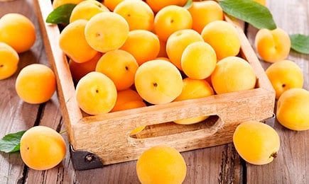 Sucré, juteux, productif | GradinaMax