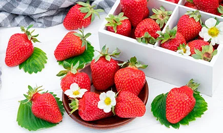 Uncommon Dessert | GradinaMax